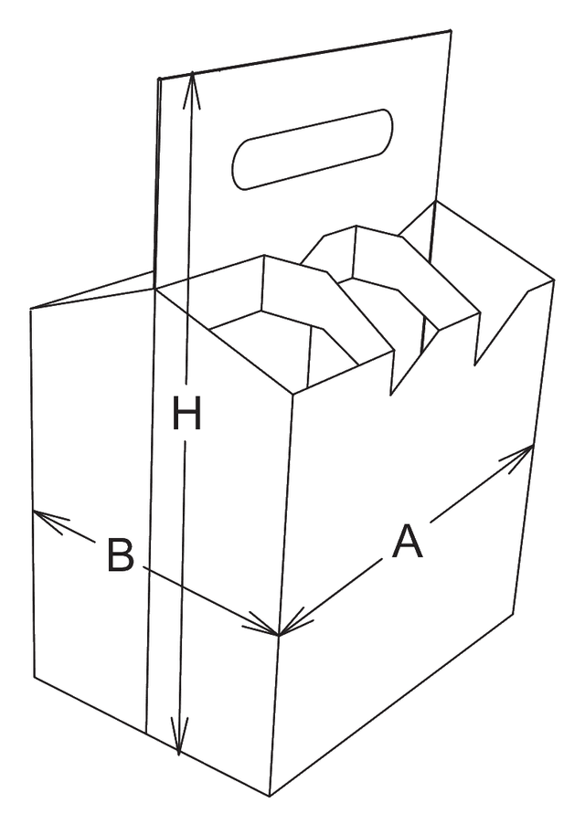 Special paperboard carton and insert